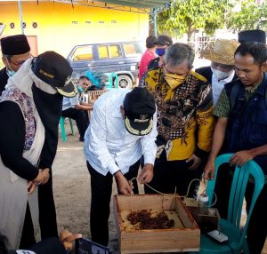 budidaya Madu trigona untuk pemulihan ekonomi