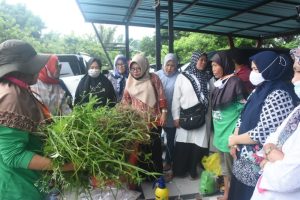Kerjasama PKK KLU dan YNLM Adakan Pelatihan Kebun Gizi