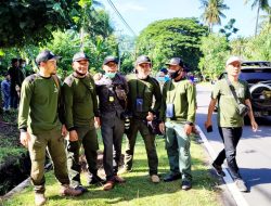 Penghijauan Sepanjang Jalan Provinsi di Lombok Utara
