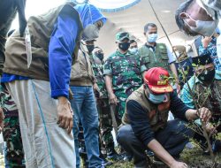 Wujudkan NTB Hijau, Gubernur dan Wagub Ikut Tanam 56 Ribu Pohon
