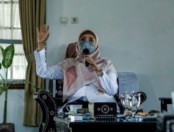 Capaian NTB Hijau, Meningkat Tutupan Hutan dan Jumlah Mata Air