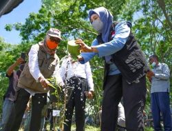 Wagub ajak peduli memulihkan hutan