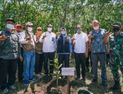 Upaya memulihkan hutan harus melibatkan seluruh komponen masyarakat