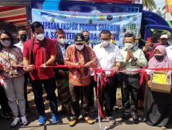 Produk Sorghum, Dari Makanan Ternak ke Produk Ekspor