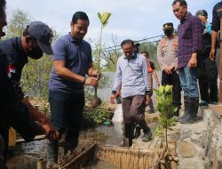 Wabup Lombok Utara Tanam Mangrove di Danau Gili Meno