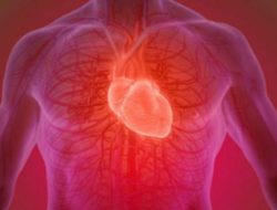 Kalsium Penting untuk Jantung, Bukan Cuma untuk Tulang