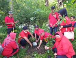 Rayakan HUT Partai dan Megawati, PDIP Tanam Ribuan Pohon
