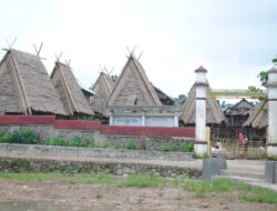 Kompleks Uma Lengge tempat penyimpanan padi secara berkelompok