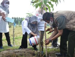 Wagub NTB Menanam Pohon Kenari di By Pass BIL