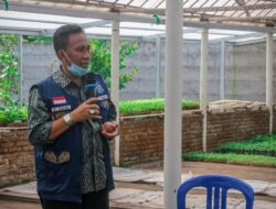 Harga Jagung Membaik, Petani Diminta Melapor Serapan Harga Jagung