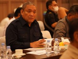 Komisi V DPR RI mendorong bendungan mujur masuk dalam proyek strategis nasional
