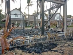 Ketua DPRD KLU melihat langsung puing dari bungalo ke bungalo