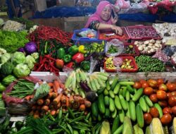 Harga Sayur Naik, Masyarakat Dianjurkan Bijak Berbelanja