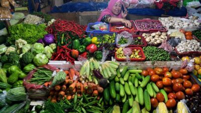 Harga Sayur Naik, Masyarakat Dianjurkan Bijak Berbelanja