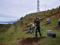 Puan Maharani ikut menanam mangga di daerah perbukitan di Danau Toba