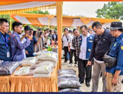 NTB Masuk Lumbung Pangan Nasional, Ini Jasa Penyuluh