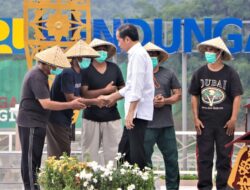 Presiden Jokowi berharap, peresmian Bendungan Beringin Sila menambah masa tanam petani