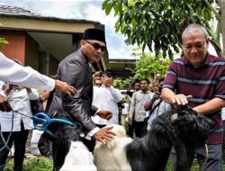 KUBE Peternakan merupakan ihtiar HBK meningkatkan kesejeahteraan masyarakat Loteng