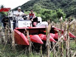 Menhan Prabowo melaksanakan Panen Jagung di lahan 40 hektare di Lombok Tengah