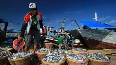 Laut Indonesia Punya Potensi Sumber Daya yang Melimpah