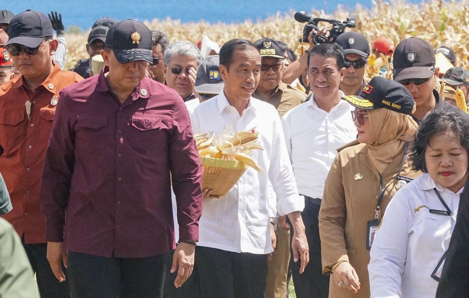 Presiden ikut panen jagung untuk beri semangat petani agar tetap produktif