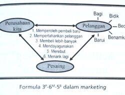 Formula 3ᴾ-6ᴹ-5ᴮ,  Pedoman Menuju Growing Company