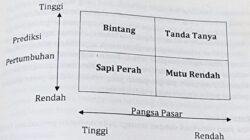 BCG Matrix adalah kerangka kerja analisis portofolio produk atau bisnis yang memiliki kelebihan dan kekurangan