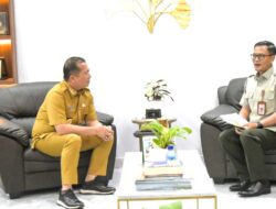 Swasembada Pangan, Pentingnya Perluasan Lahan dan Sumber Air 