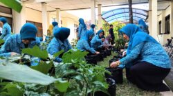 Gerakan tanam yang dilakukan hari ini, bisa baik sehingga suatu hari nanti bisa kita panen dan menghidupkan dapur rumah tangga