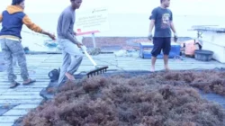 Rumpput laut di teluk Ekas jadi pusat riset, diharapkan menjadi pusat penelitian, pendidikan, dan pelatihan bagi masyarakat