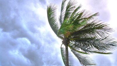 BMKG mengidentifikasi kemunculan tiga bibit siklon tropis yang berada di sekitar wilayah Indonesia