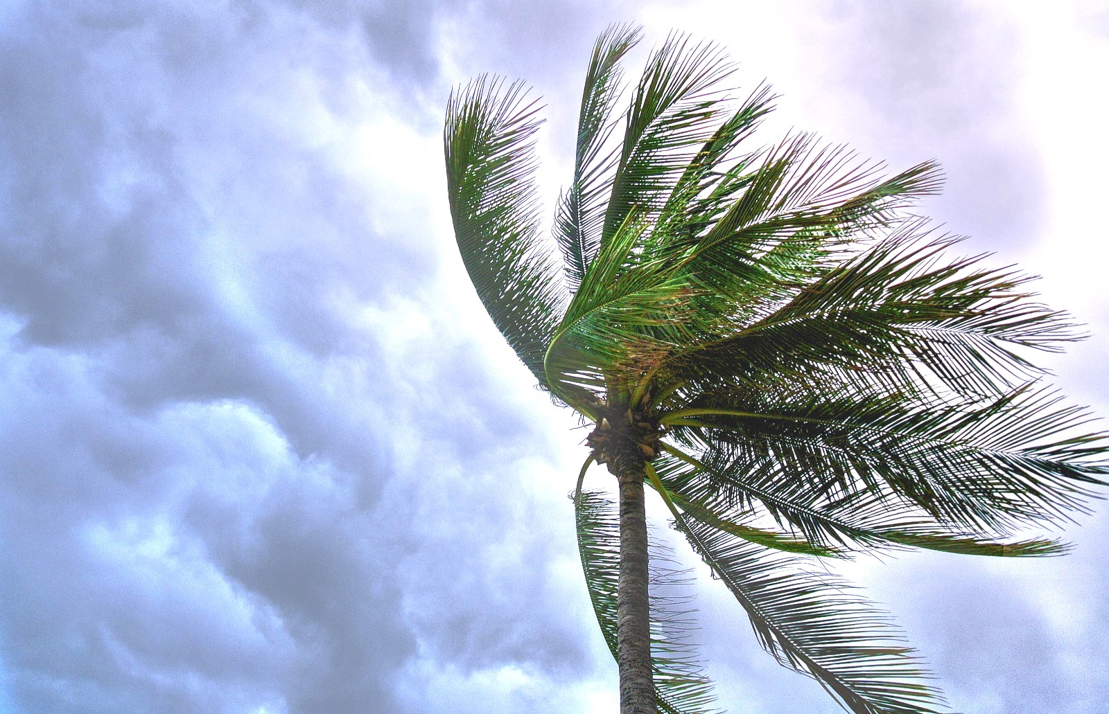 BMKG mengidentifikasi kemunculan tiga bibit siklon tropis yang berada di sekitar wilayah Indonesia