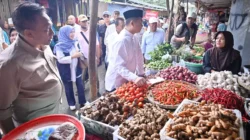 Gubernur NTB Dorong Penguatan Produksi Hortikultura