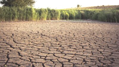 Prediksi BMKG) Wilayah yang mengalami awal kemarau lebih maju meliputi sebagian besar Sumatra, Jawa, Bali, Nusa Tenggara dan Kalimantan