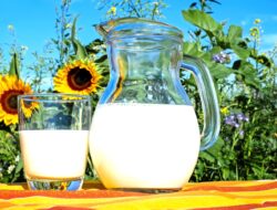 Rahasia Sahur Supaya Kenyang Lebih Lama