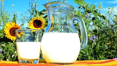 Rahasis sahur agar kenyang lebih lama, dengan minum susus