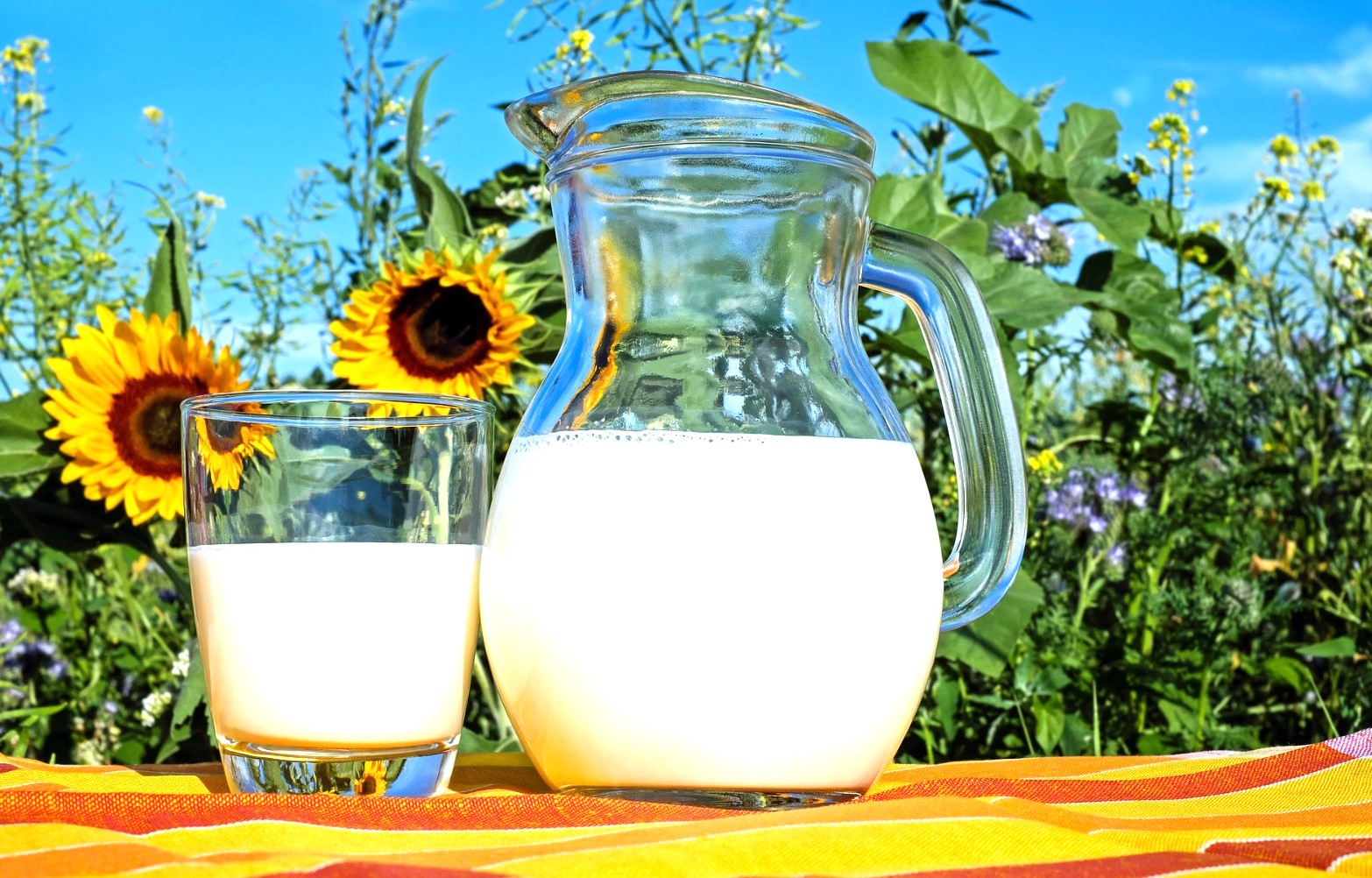Rahasis sahur agar kenyang lebih lama, dengan minum susus